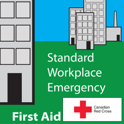 Standard First Aid [previously Standard Workplace Emergency First Aid]