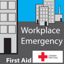 Blended - Emergency First Aid EFA A or EFA C 